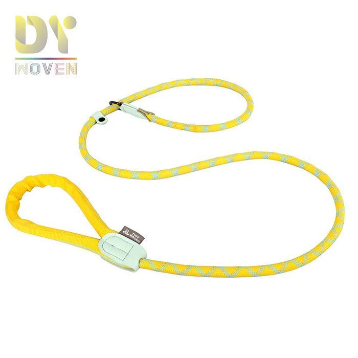Pet Leash